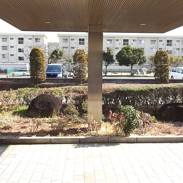 実例写真