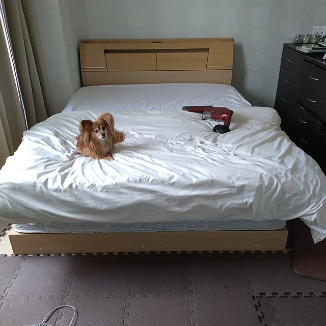 toratanさんの実例写真