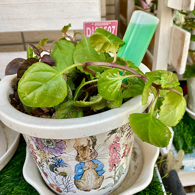 YuuKoさんの部屋