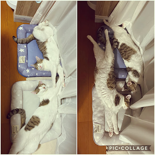 Lufuさんの実例写真