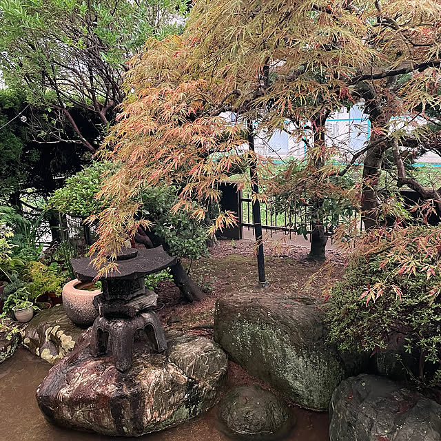 shin0719さんの実例写真