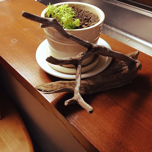 ayaさんの実例写真