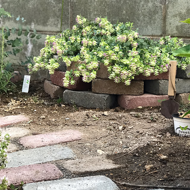 howdyさんの実例写真