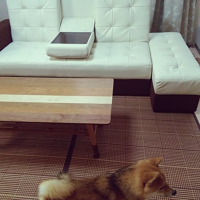 YAGI555さんの実例写真