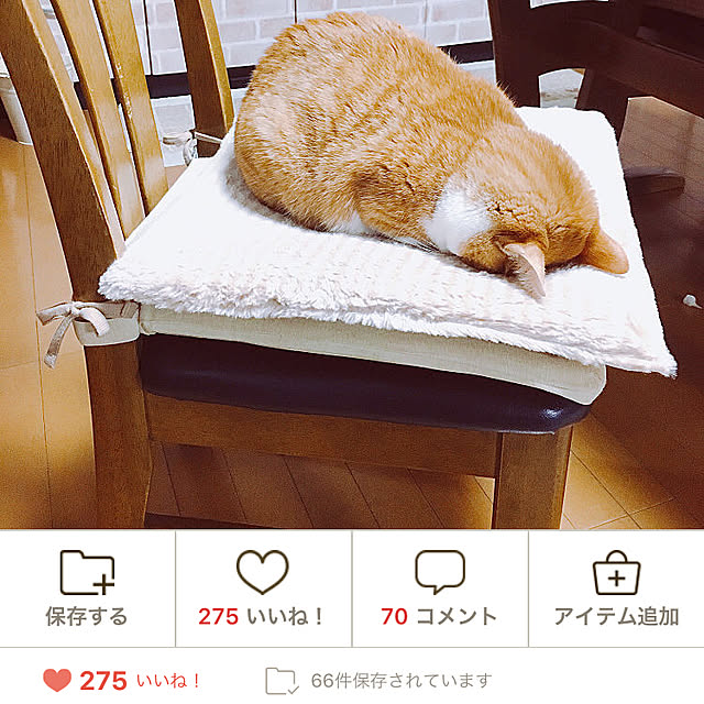 cocomaroさんの実例写真