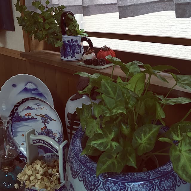 junjunさんの実例写真