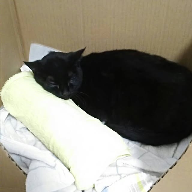kazunokoさんの実例写真
