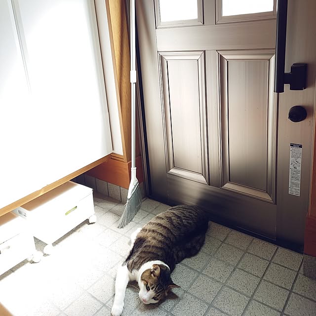nachiさんの部屋