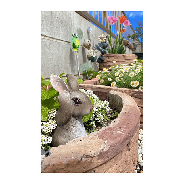 omochisanさんの実例写真