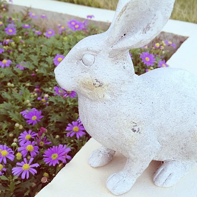 Mikikoさんの実例写真