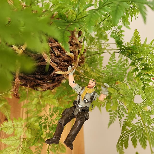 ezさんの実例写真