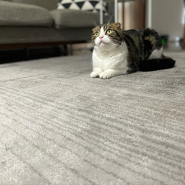 tansukeさんの実例写真