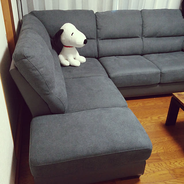 実例写真