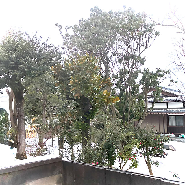 Fleur_さんの部屋