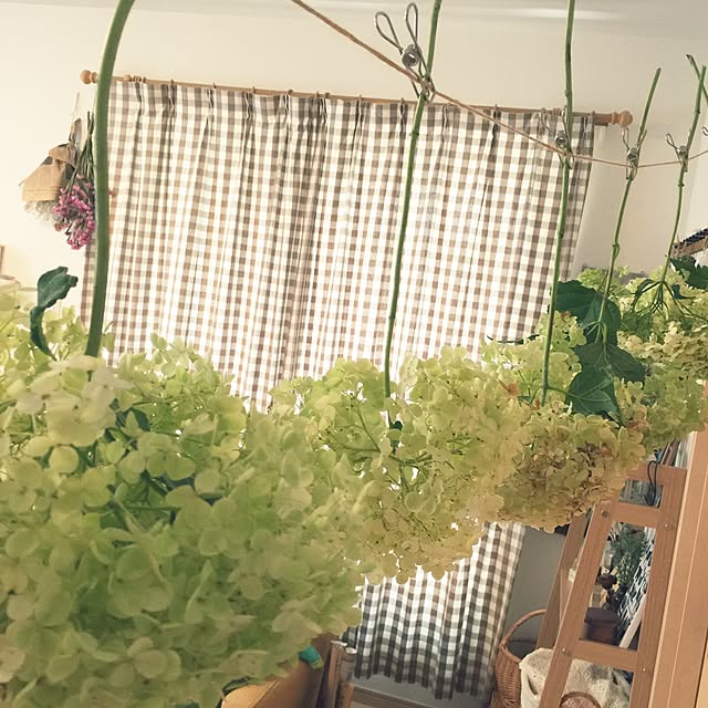 Sanaeさんの実例写真