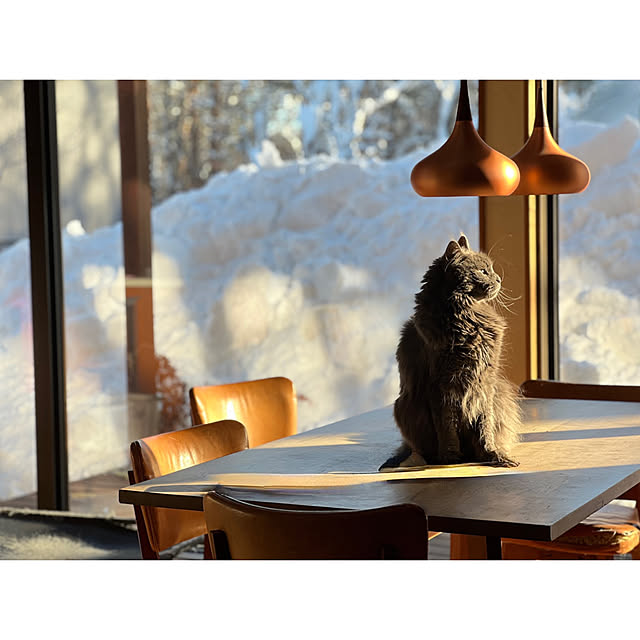 Kikko.さんの実例写真