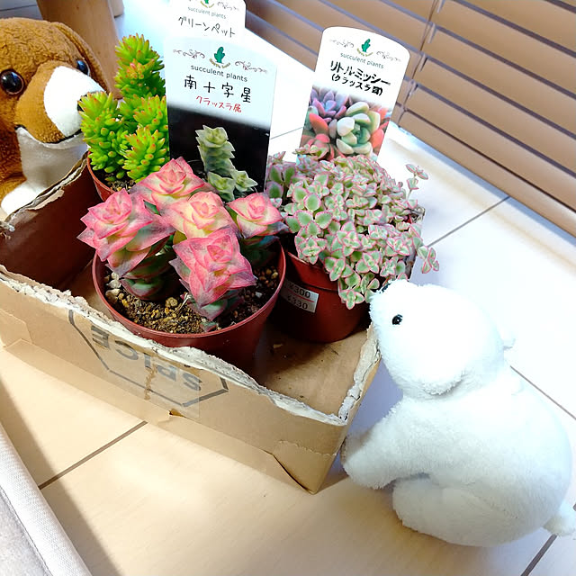 meiさんの実例写真