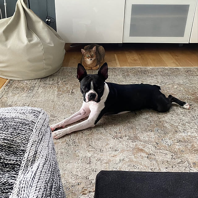 daisyさんの実例写真