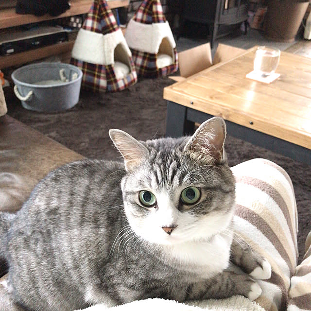 na-sanさんの実例写真
