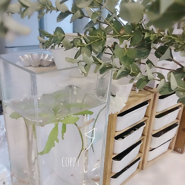 comiriさんの実例写真