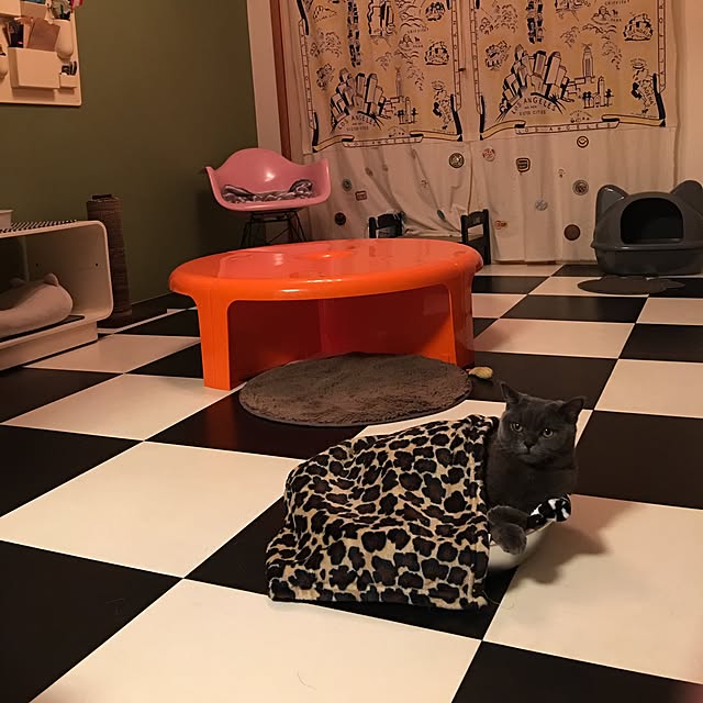Shojiさんの実例写真