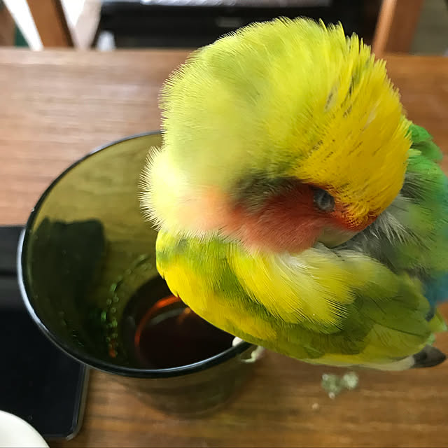 keinagen91さんの実例写真