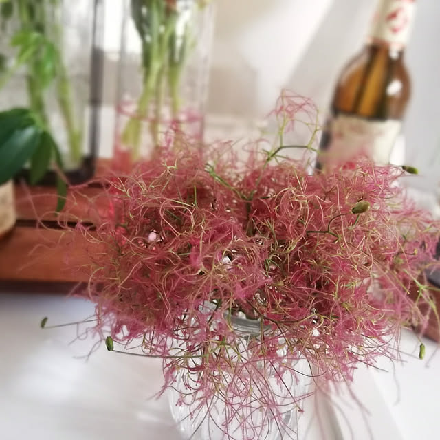 junjunさんの実例写真