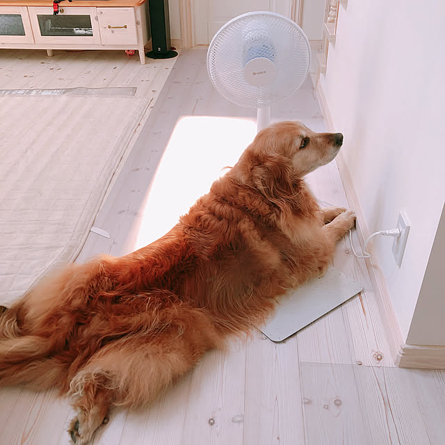 Ururuさんの実例写真