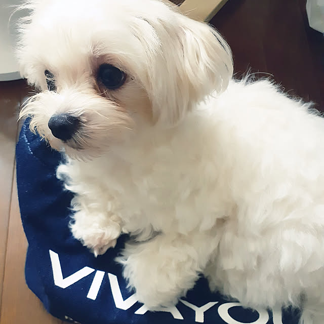 y_umeさんの実例写真