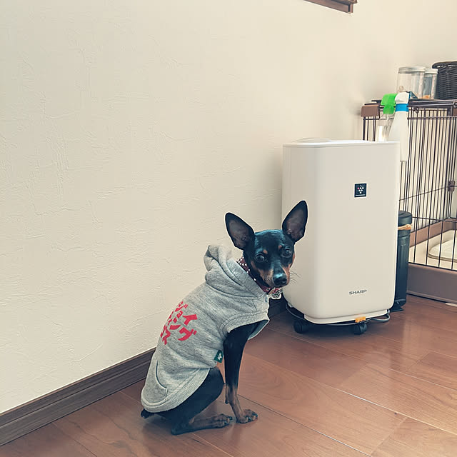 shizuponさんの実例写真