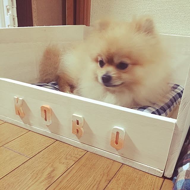 Chiakiさんの実例写真