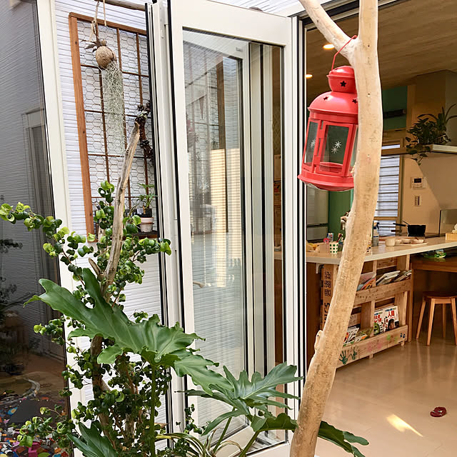 Yukoさんの実例写真