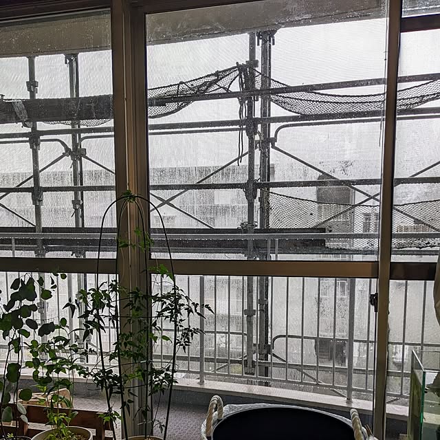 mi-saさんの部屋