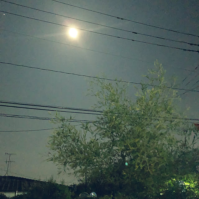 lilyさんの実例写真