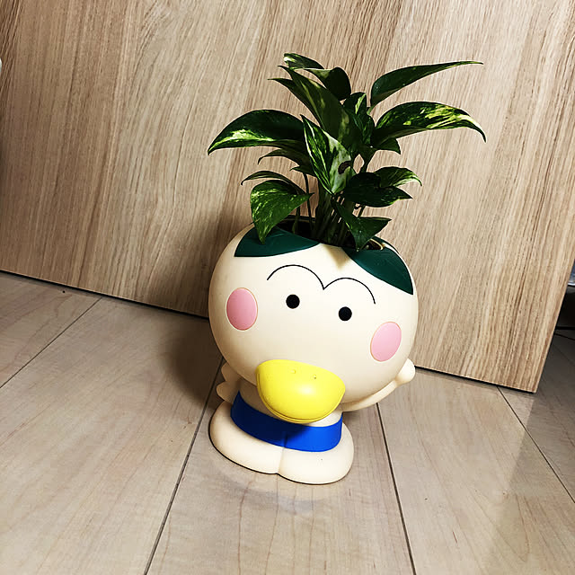 観葉植物/リビングのインテリア実例 - 2019-07-18 19:30:02