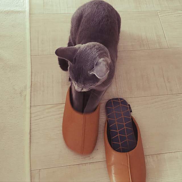 niko-25さんの実例写真