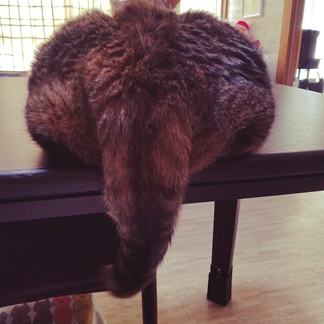 runaさんの実例写真
