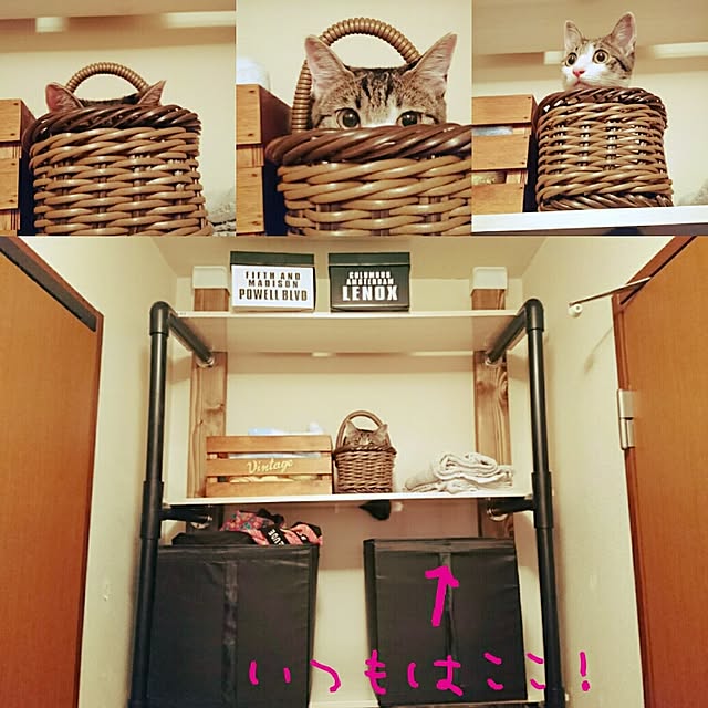 kiraさんの実例写真