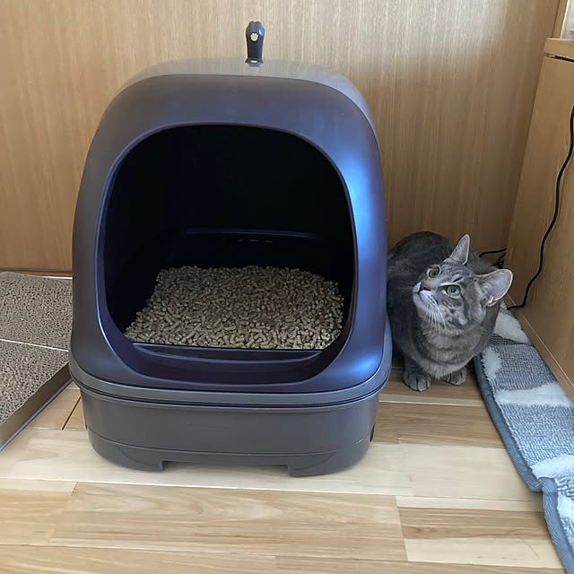 Yuccaさんの実例写真
