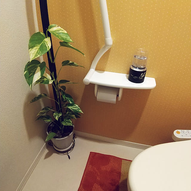 narikawaさんの実例写真