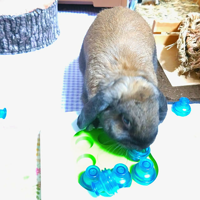 mariaさんの実例写真