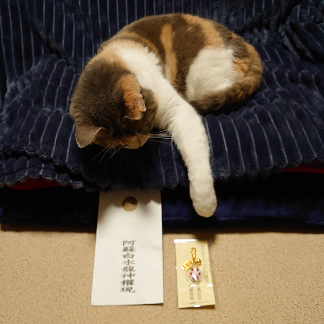 fukuさんの実例写真