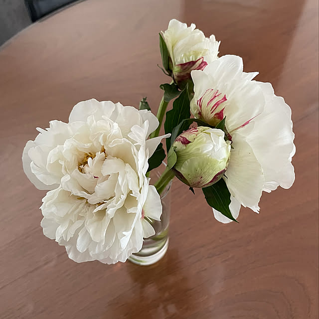 tomo_ppgさんの実例写真