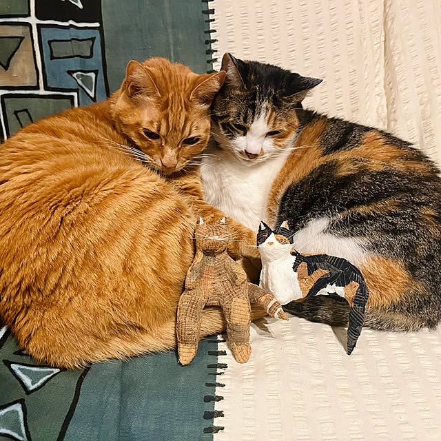 Maruさんの実例写真