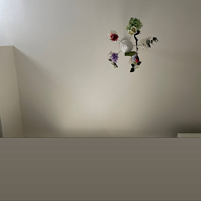 壁/天井のインテリア実例 - 2022-06-11 17:01:04