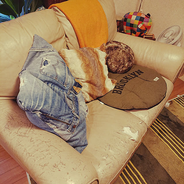 mofukoさんの実例写真