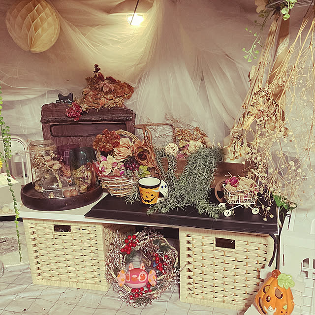 押し入れディスプレイ/押し入れ改造/ハロウィン/グリーン/いいね、フォロー本当に感謝です♡...などのインテリア実例 - 2022-09-12 15:12:46
