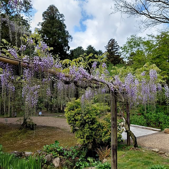 valleさんの部屋
