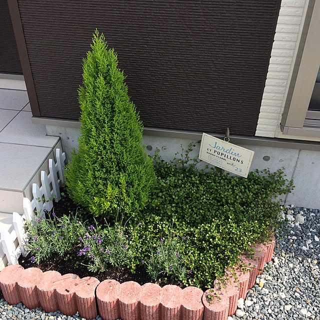 rinrinさんの実例写真