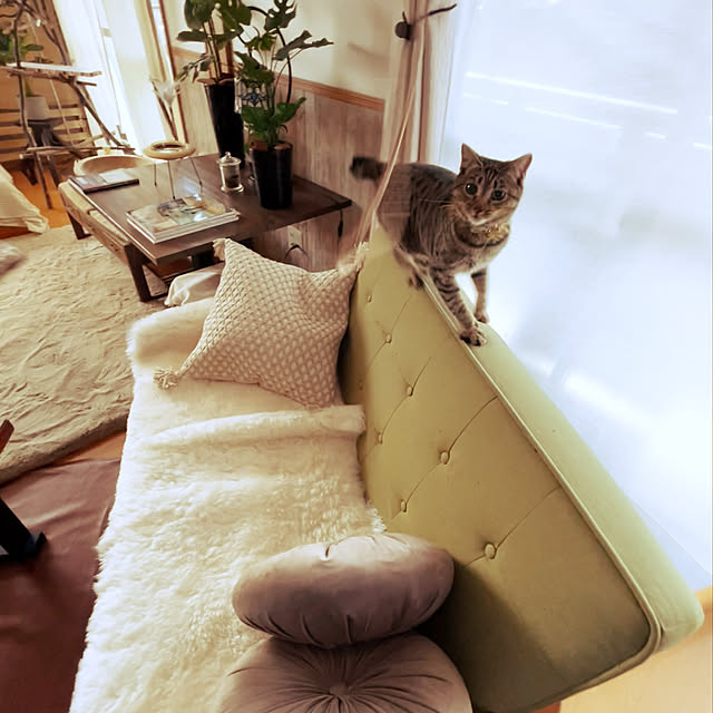 Mさんの実例写真